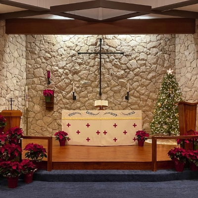 The Olive Press December 2024 Edition 31