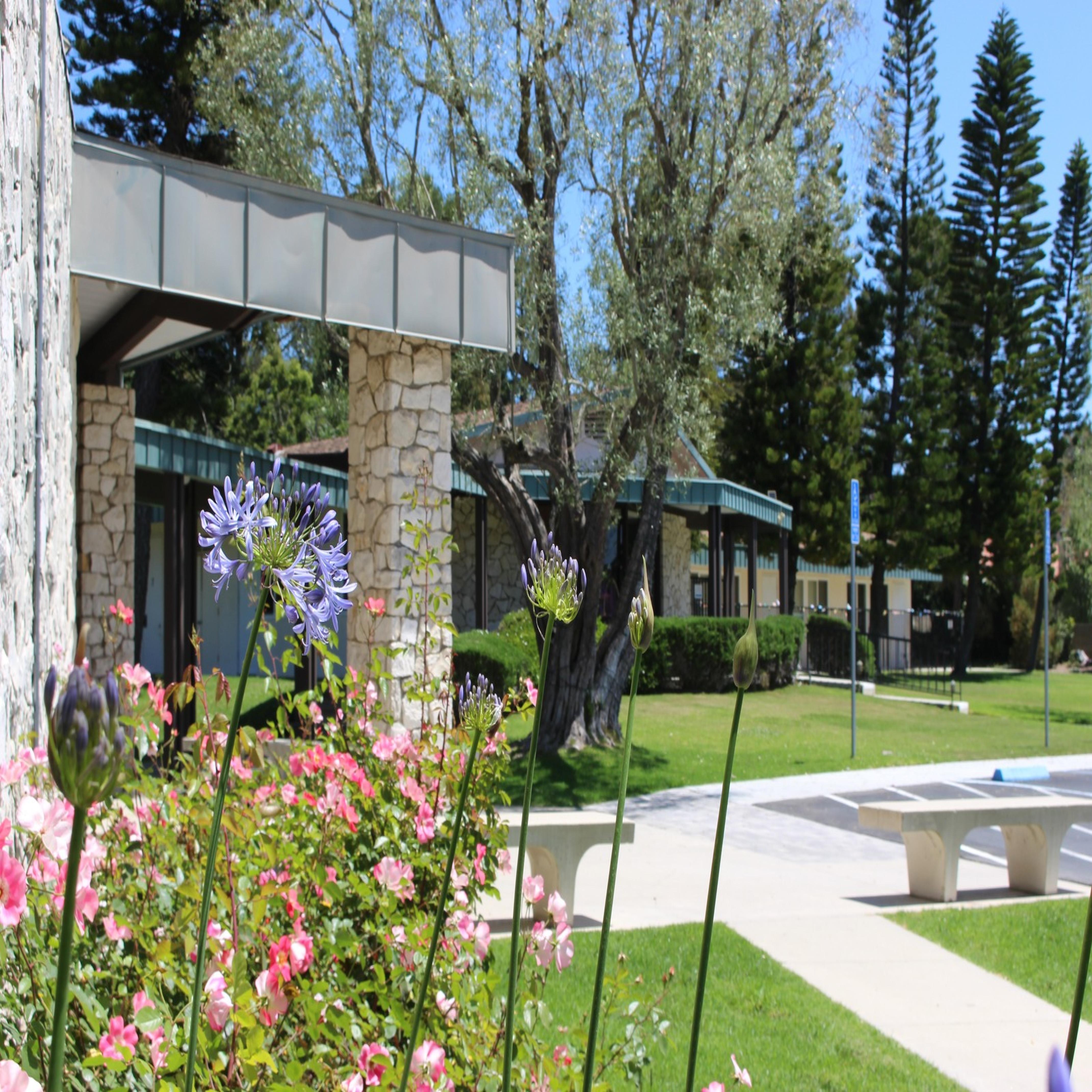 The Olive Press February 2026 Edition 45