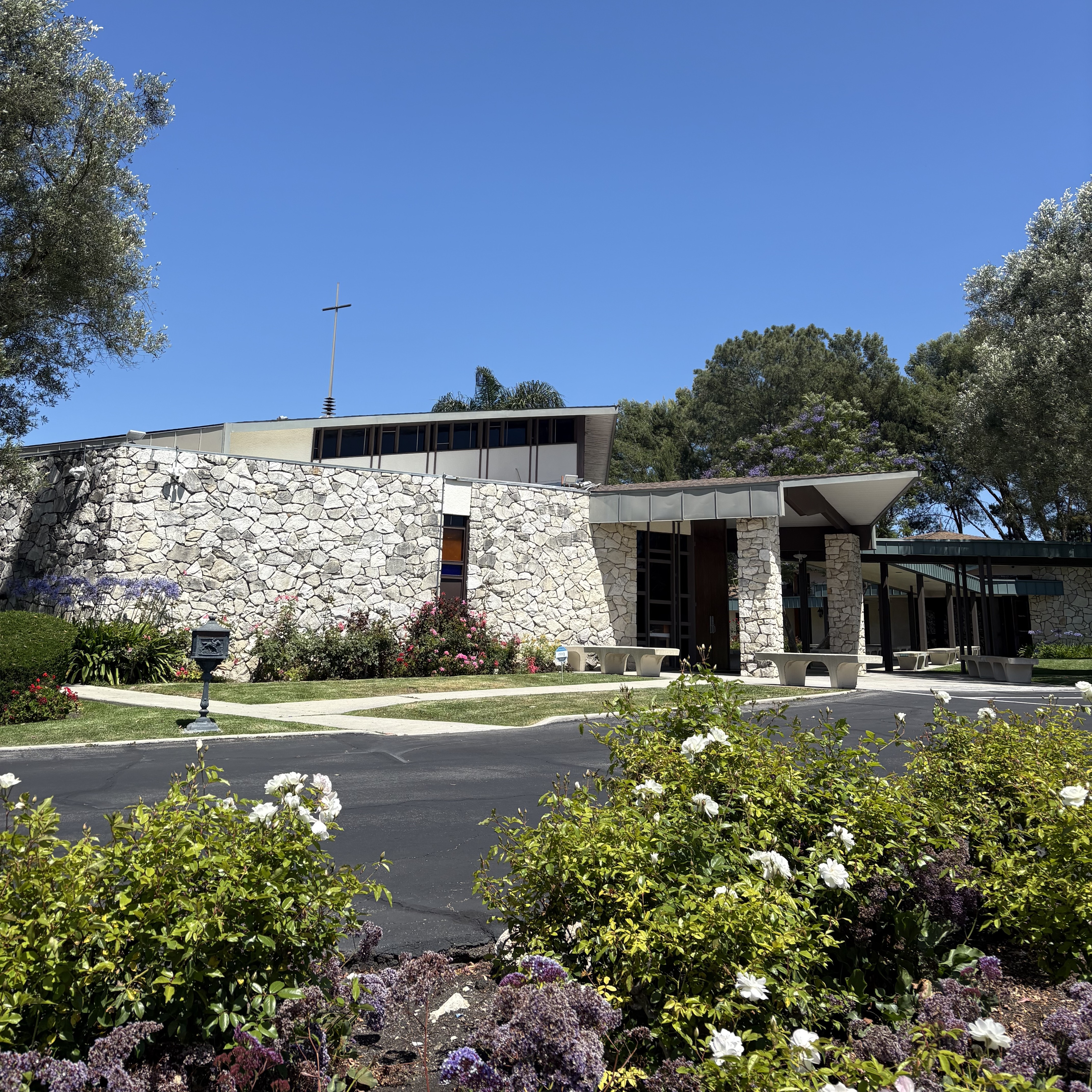 The Olive Press  December 2025 Edition 43