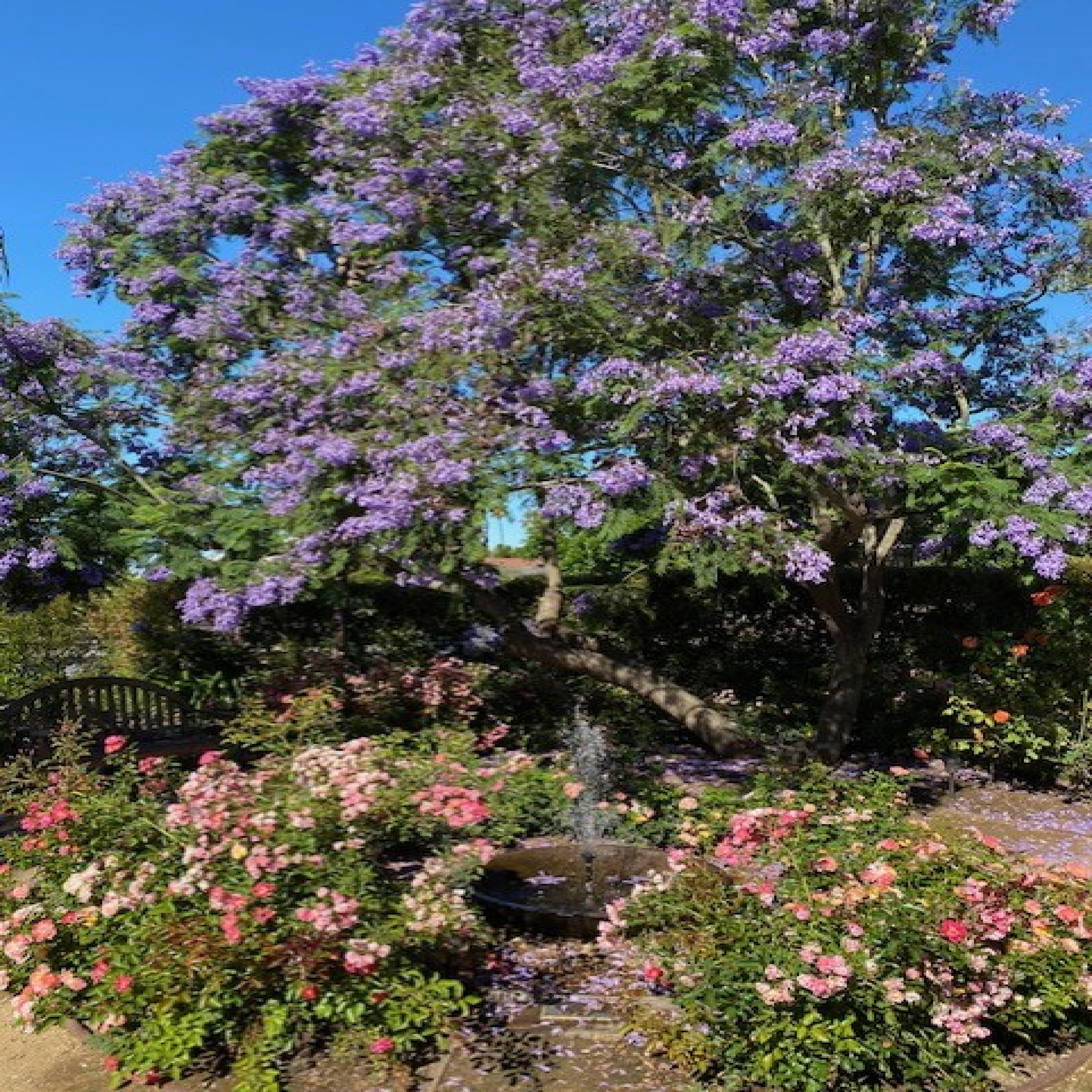 The Olive Press April 2026 Edition 47