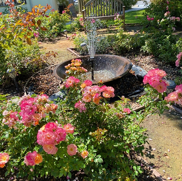 The Olive Press February 2025 Edition 33