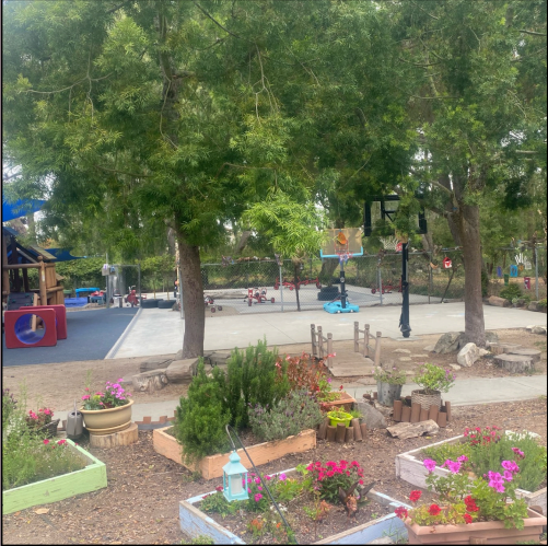 The Olive Press July 2025 Edition 38